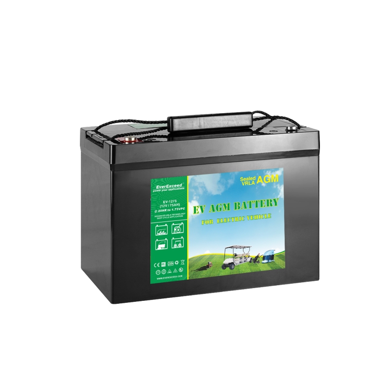 EV AGM-batterij
