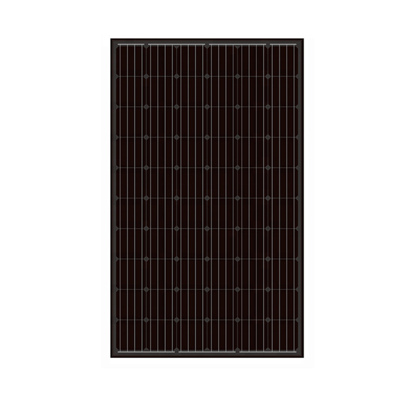 60cells zwart frame zonnepanelen 300watt 300wp voor zonne-installatie
