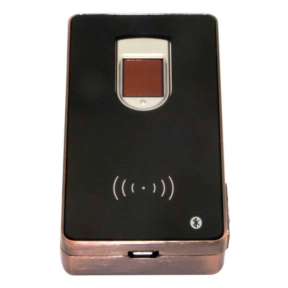 Draagbare handheld draadloze Bluetooth biometrische vingerafdrukverificatie Rfid-lezer
