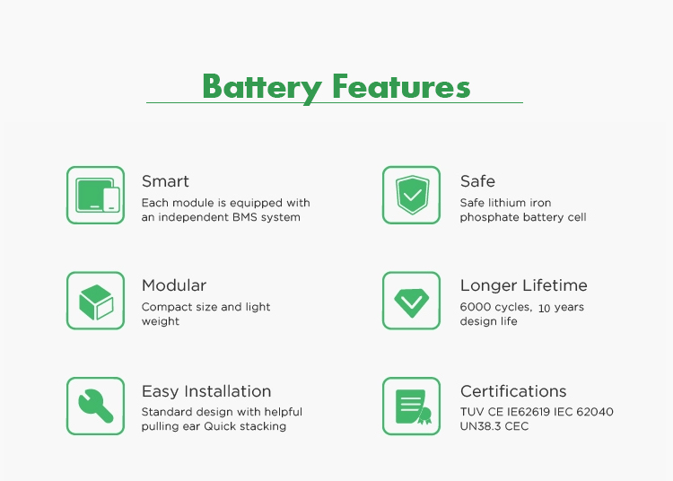 Lithium-ion-polymeerbatterij 48V 100AH