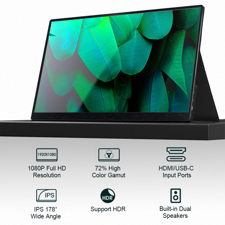 17,3 inch 1080p usb-c draagbaar beeldscherm S4S