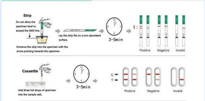 Urine zwangerschapstest Hcg sneltest