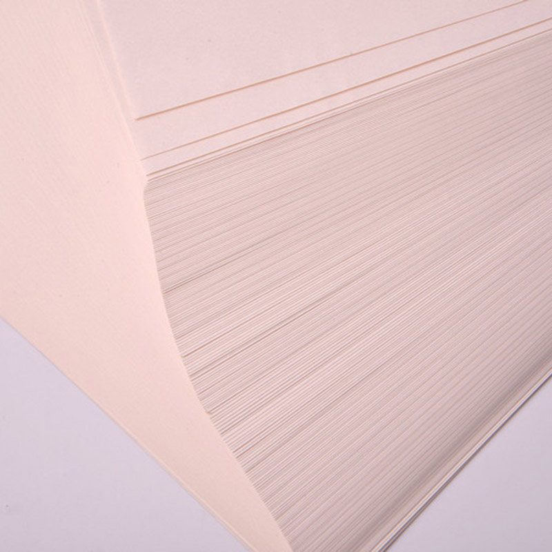 Fabrieks A4-formaat Kleurrijk Pluisvrij Cleanroom-afdrukpapier
