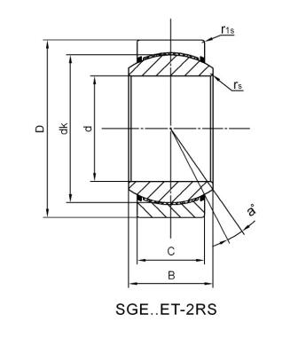 SGE55ET-2RS Sferisch lager van roestvrij staal
