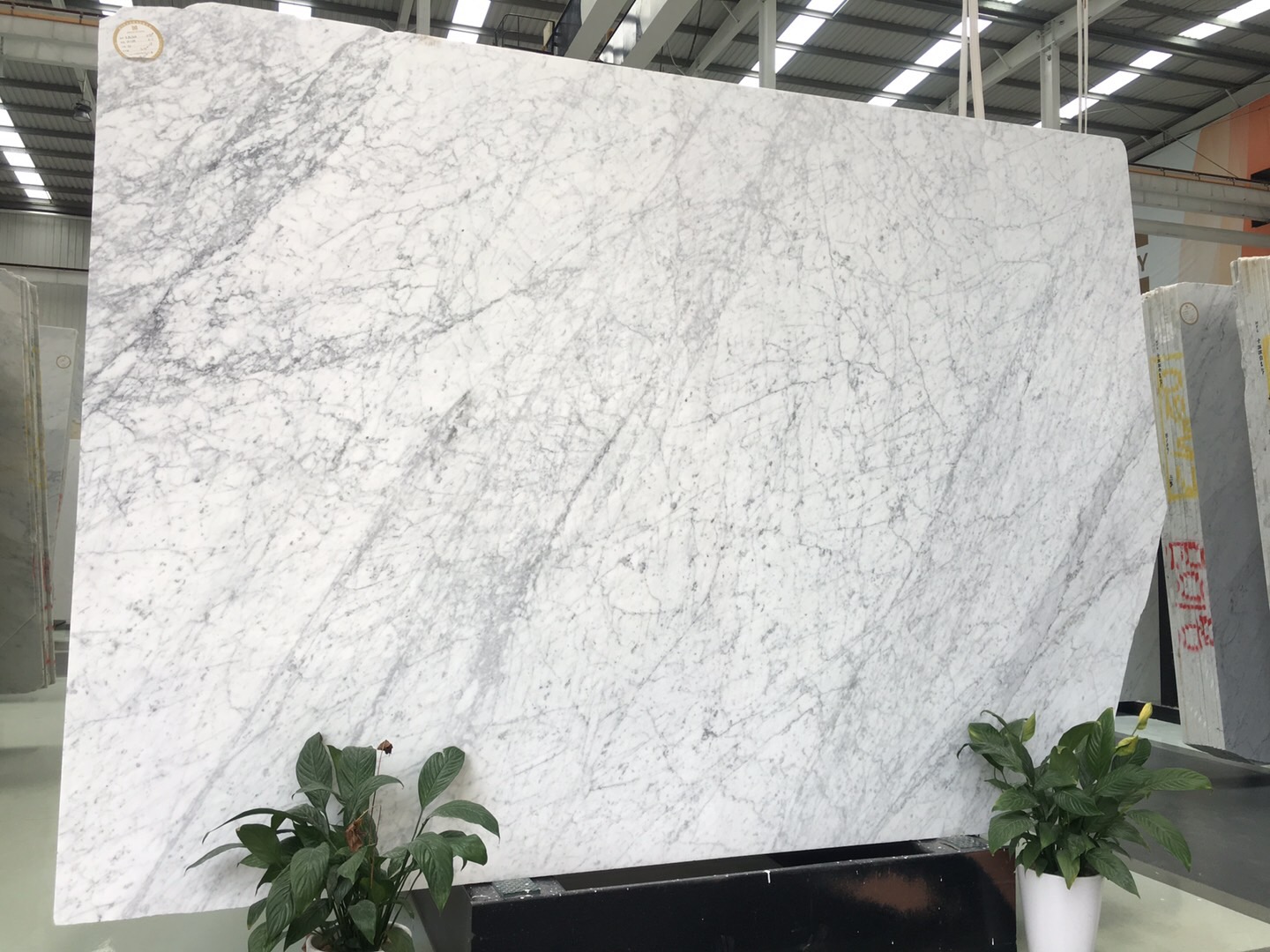 Natuursteen Carrara witte marmeren platen

